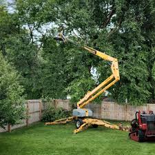 Trusted Woodland Beach, MI  Tree Services Experts